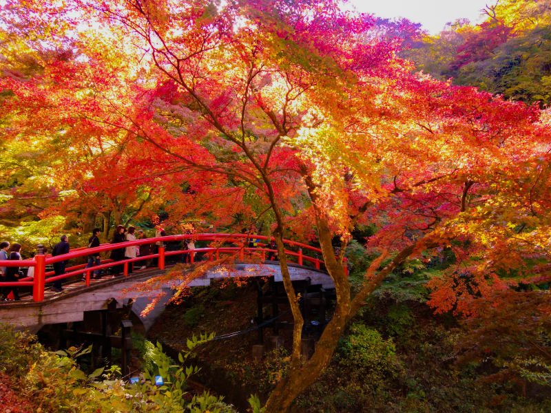 🌉 카지카 다리(카지카바시) 이미지 1